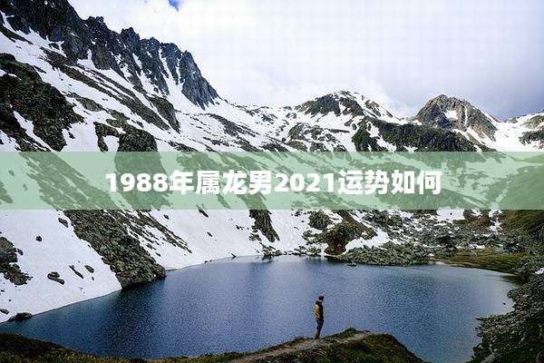 1988年属龙男2021运势如何