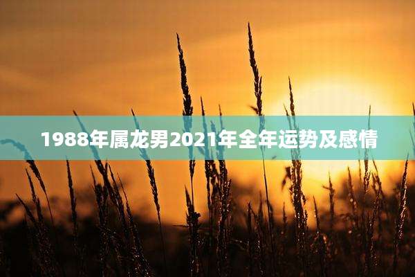 1988年属龙男2021年全年运势及感情