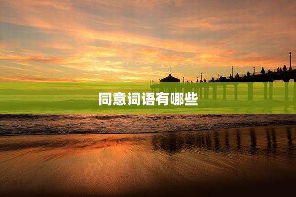 同意词语有哪些