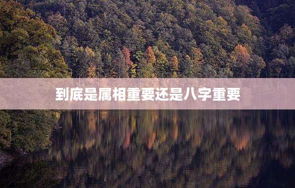 到底是属相重要还是八字重要