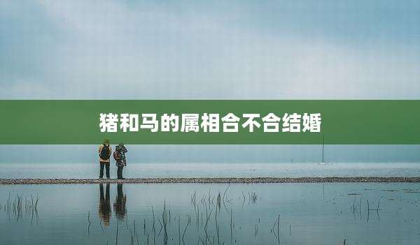 猪和马的属相合不合结婚