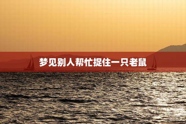 梦见别人帮忙捉住一只老鼠