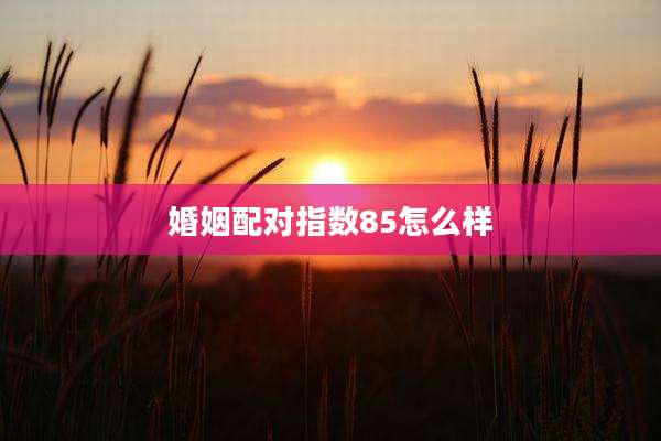 婚姻配对指数85怎么样