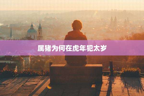 属猪为何在虎年犯太岁
