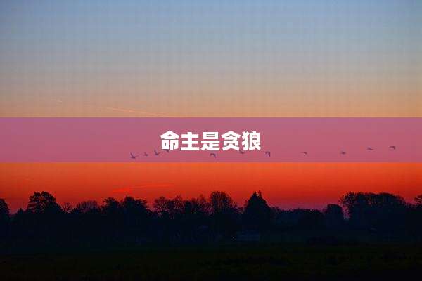 命主是贪狼