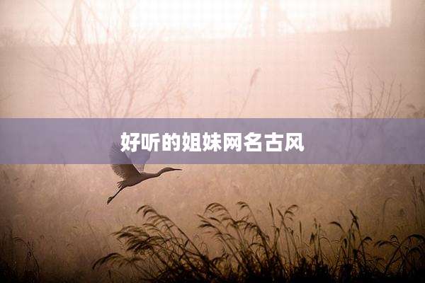 好听的姐妹网名古风
