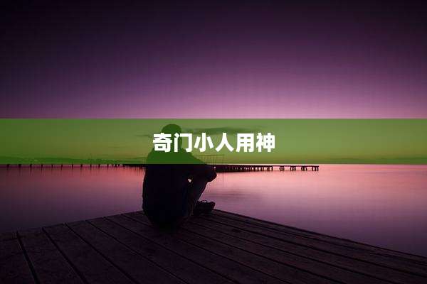 奇门小人用神