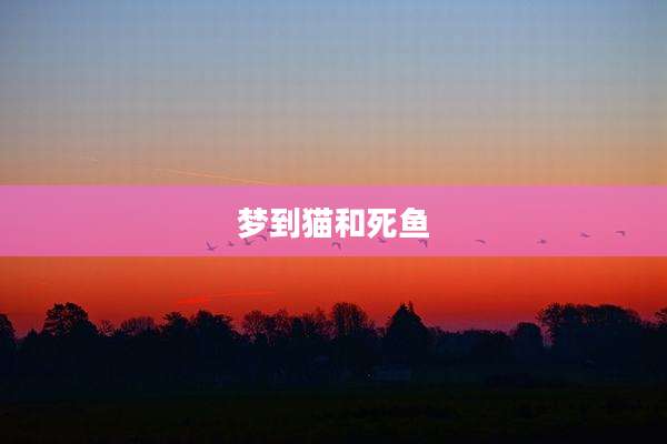 梦到猫和死鱼