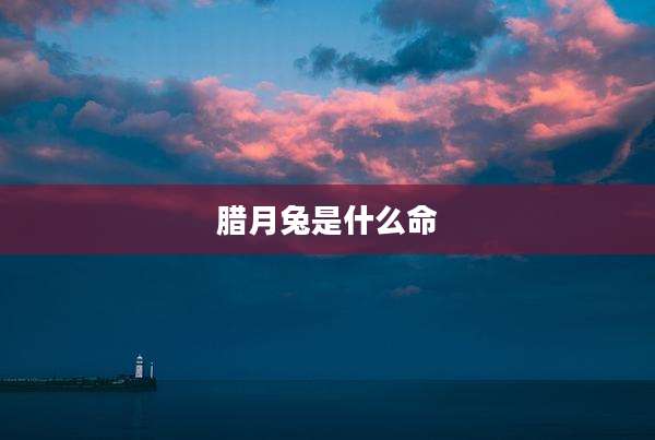 腊月兔是什么命