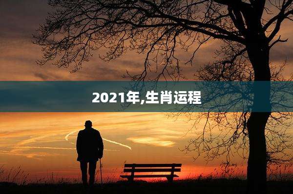 2021年,生肖运程