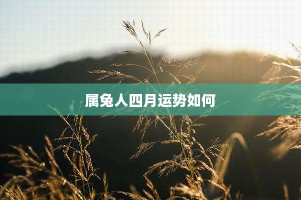 属兔人四月运势如何