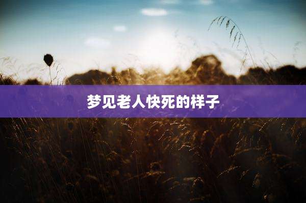 梦见老人快死的样子