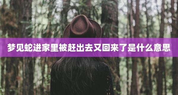 梦见蛇进家里被赶出去又回来了是什么意思