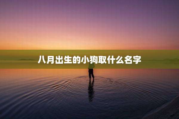 八月出生的小狗取什么名字