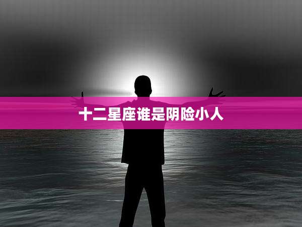 十二星座谁是阴险小人