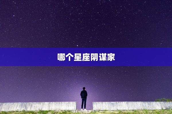 哪个星座阴谋家