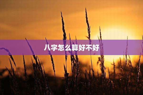 八字怎么算好不好