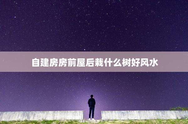 自建房房前屋后栽什么树好风水