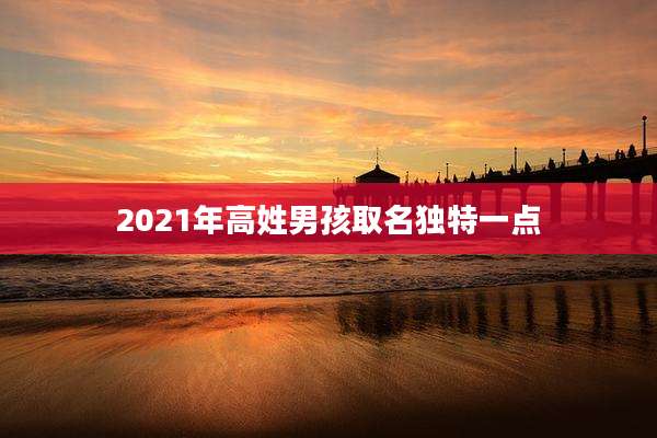 2021年高姓男孩取名独特一点