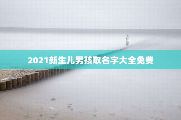 2021新生儿男孩取名字大全免费