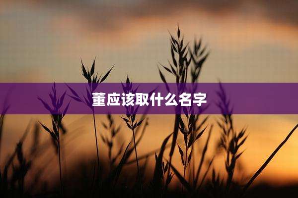 董应该取什么名字