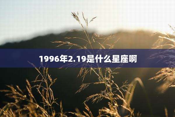 1996年2.19是什么星座啊
