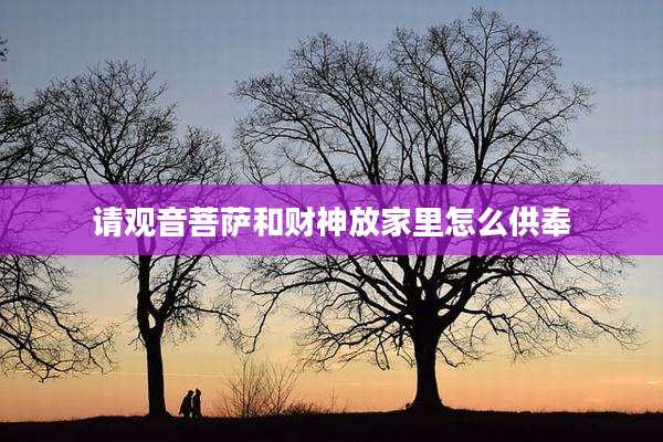 请观音菩萨和财神放家里怎么供奉