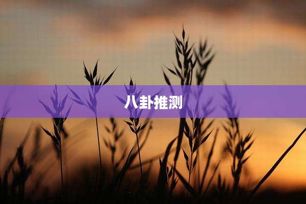 八卦推测