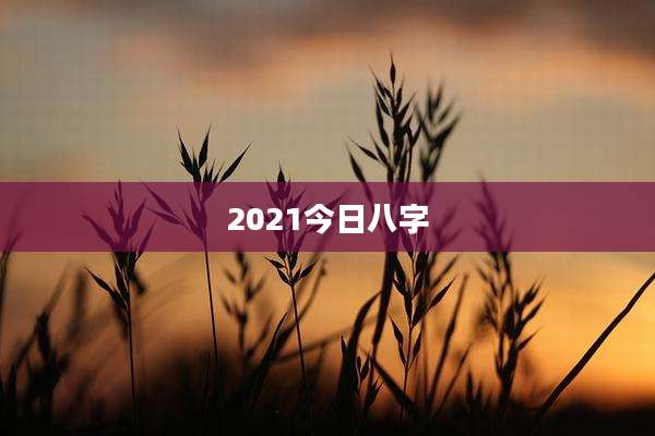 2021今日八字