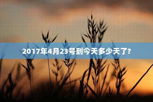 2017年4月23号到今天多少天了?