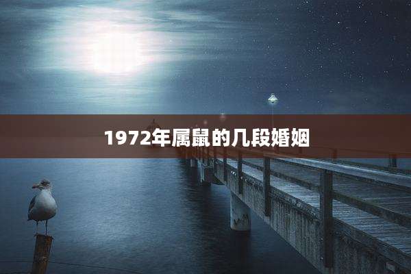 1972年属鼠的几段婚姻