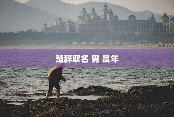 楚辞取名 男 鼠年