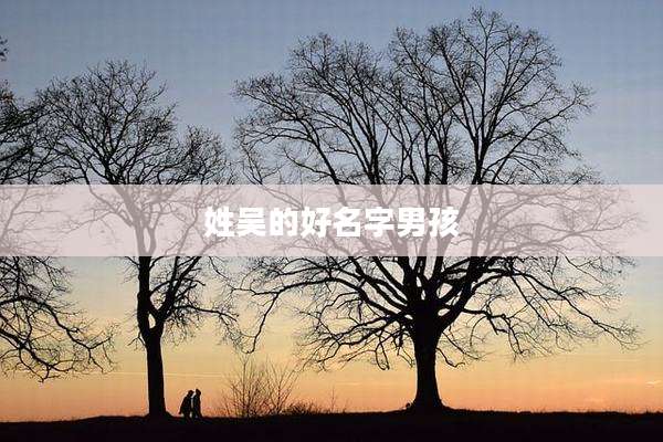 姓吴的好名字男孩