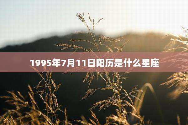 1995年7月11日阳历是什么星座