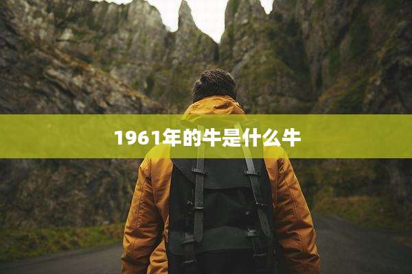 1961年的牛是什么牛