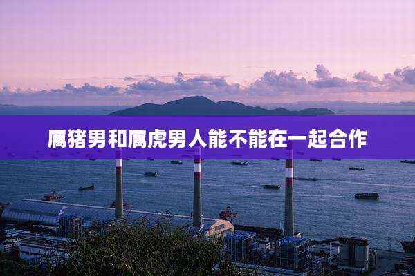 属猪男和属虎男人能不能在一起合作