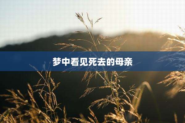 梦中看见死去的母亲