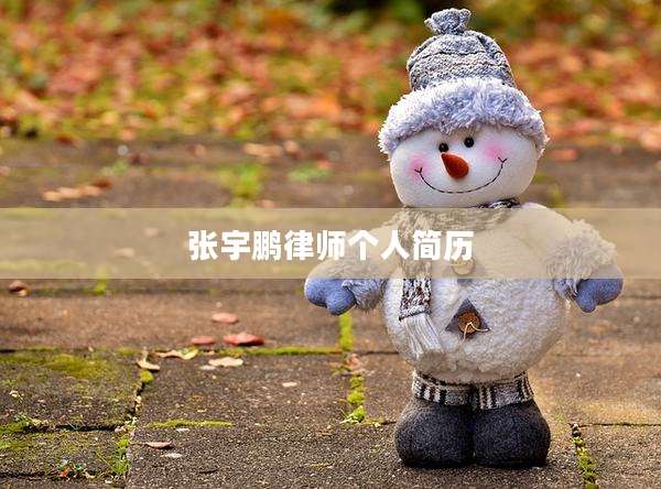 张宇鹏律师个人简历