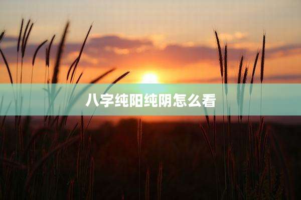 八字纯阳纯阴怎么看