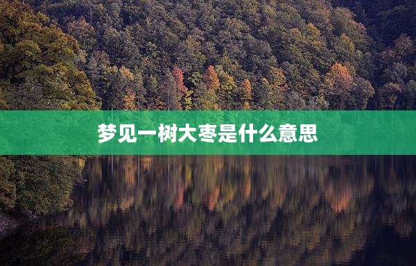 梦见一树大枣是什么意思