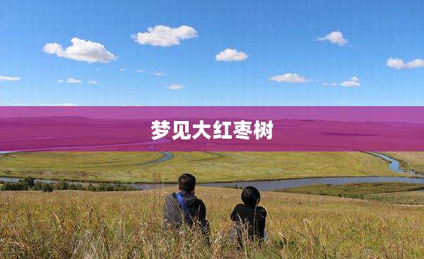 梦见大红枣树