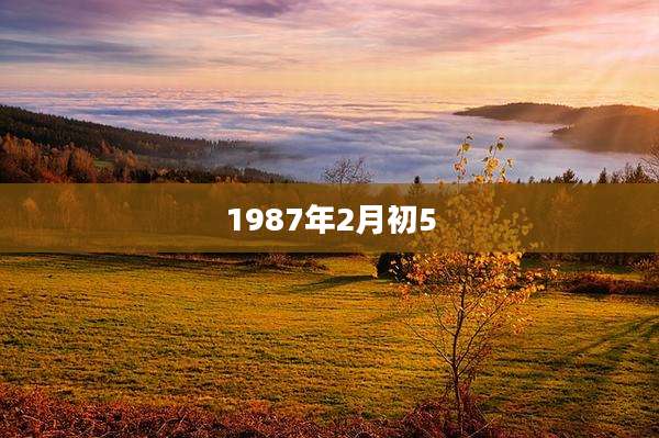 1987年2月初5