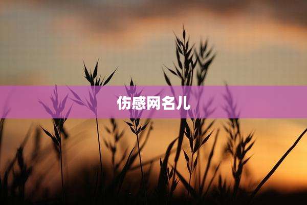 伤感网名儿