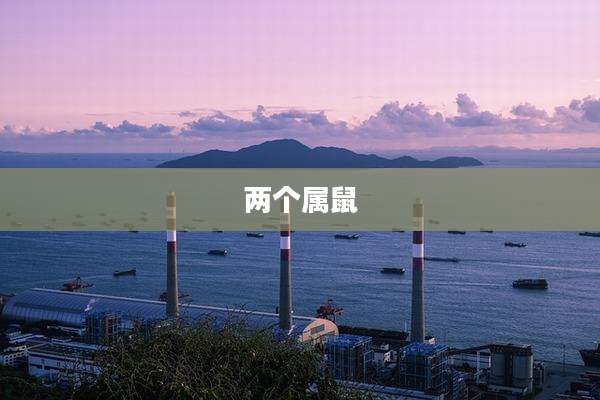 两个属鼠