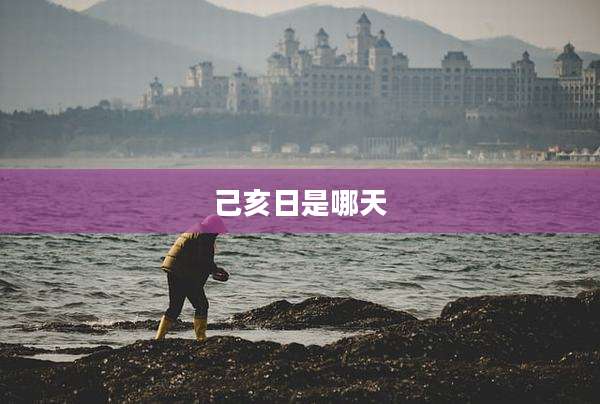 己亥日是哪天