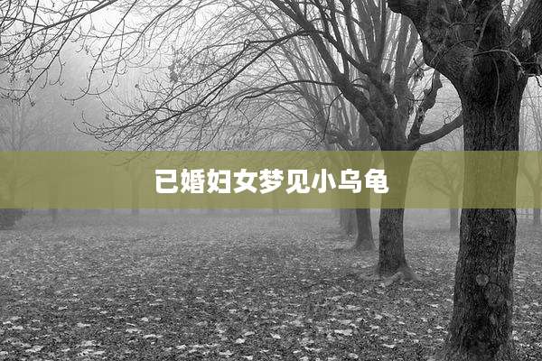 已婚妇女梦见小乌龟