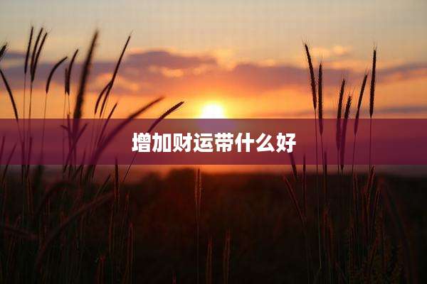 增加财运带什么好
