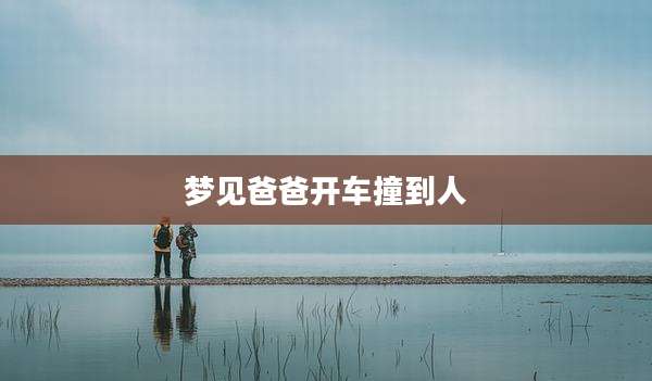 梦见爸爸开车撞到人