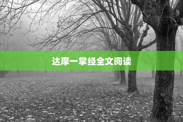 达摩一掌经全文阅读