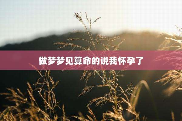 做梦梦见算命的说我怀孕了
